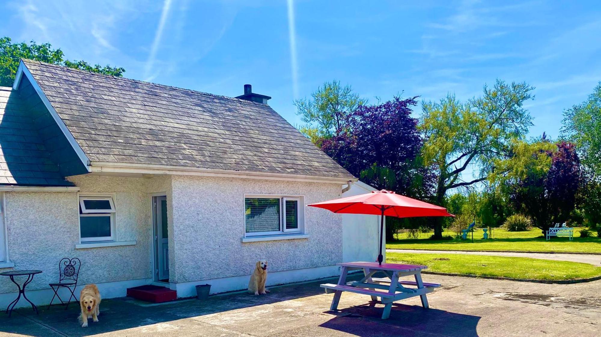 Nolans Organic Farm Villa Wexford Exterior foto