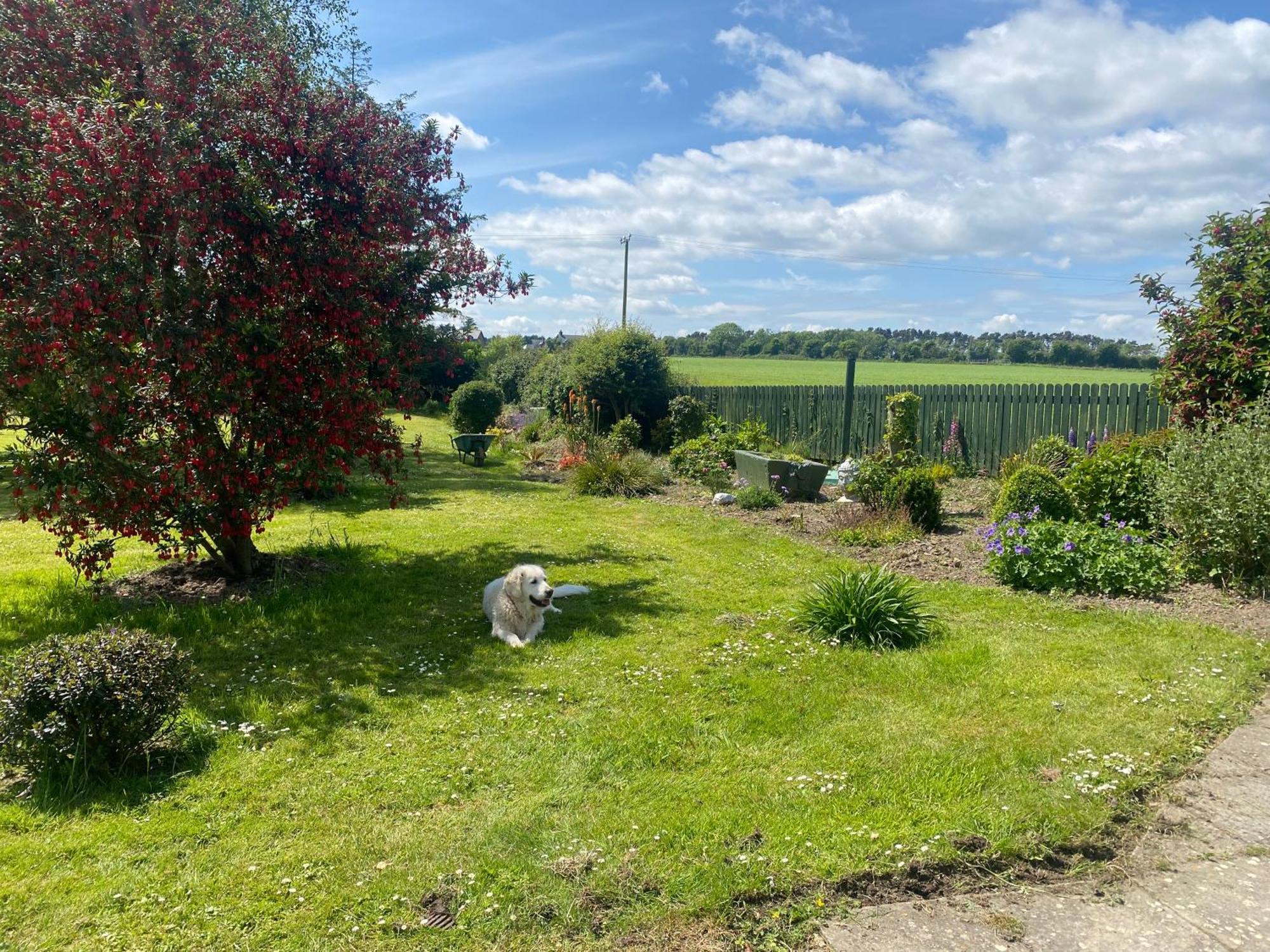 Nolans Organic Farm Villa Wexford Exterior foto
