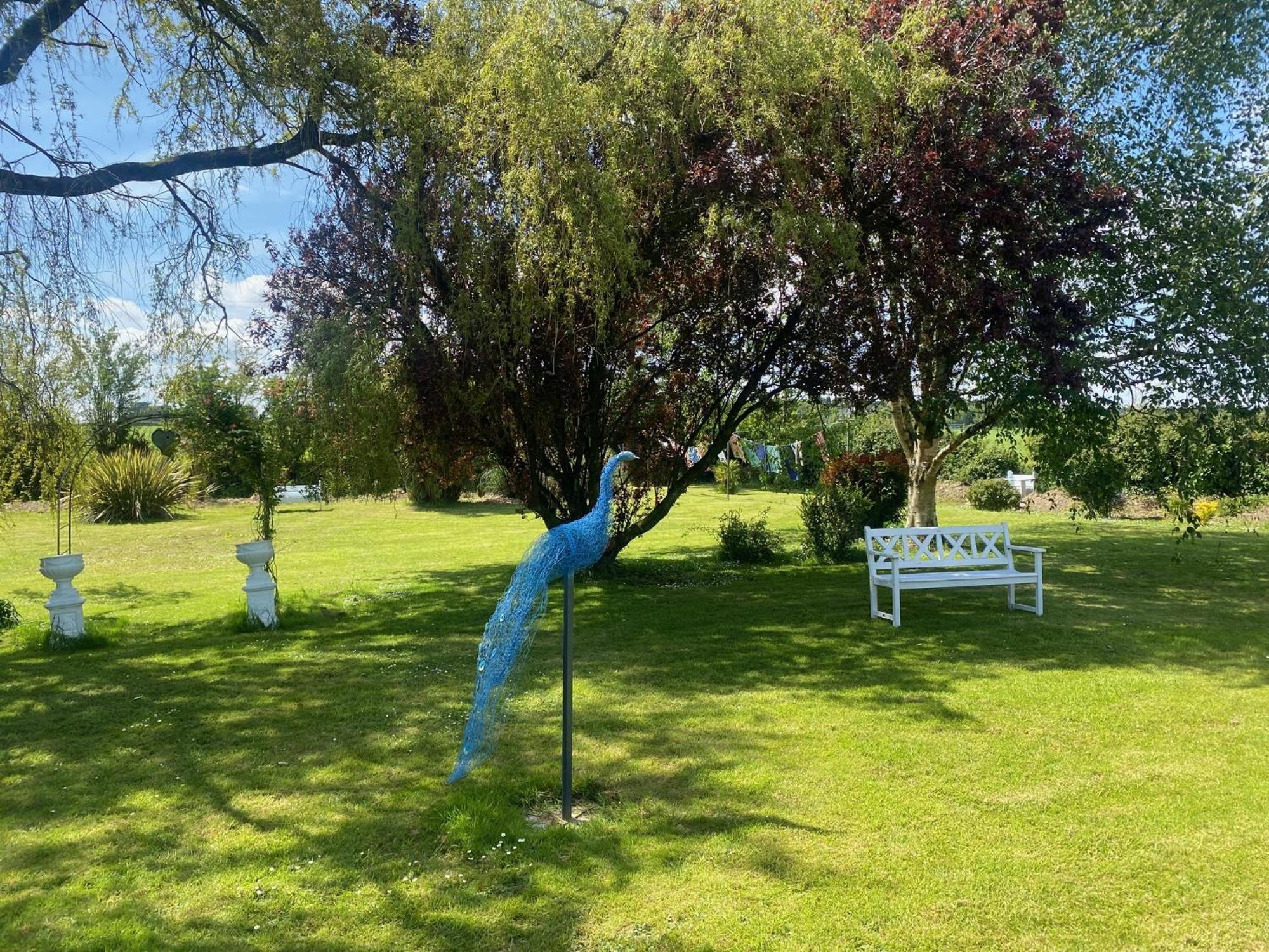 Nolans Organic Farm Villa Wexford Exterior foto
